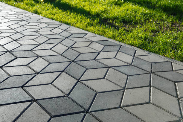 Best Local Driveway Pavers  in St Michael, MN