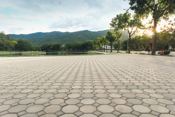 Best Driveway Paving Near Me  in St Michael, MN